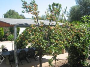 Villa Primavera img10