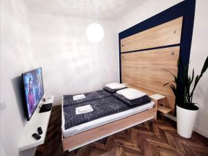 Apartamenty Orkana