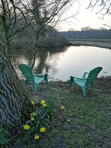 Maisons de vacances Gite le grand bois : photos des chambres