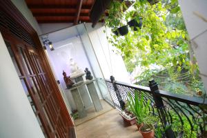 Colombo Orchid Villa