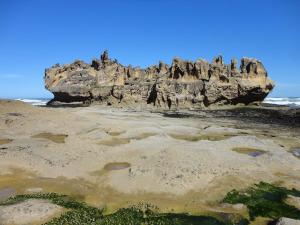 South Villa Guesthouse&Garden