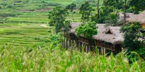 Puluong Valley Home