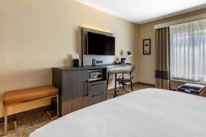 Junior King Suite with Sofa Bed - Non-Smoking room in Comfort Inn & Suites North Dallas-Addison