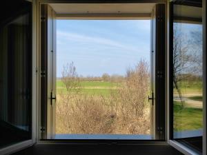 BERTESINA325 Superior Apartment