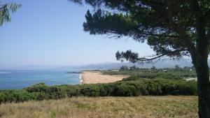 Tzanetos Seaside Messinia Greece