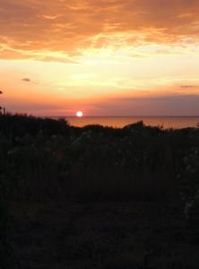 Tzanetos Seaside Messinia Greece