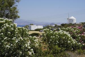 Santa Maria Studio 5 mins from the beach Paros Greece