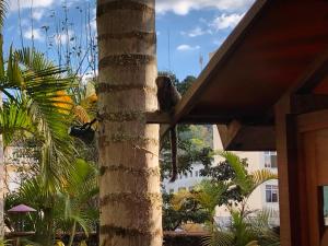 Pousada Pataca de prata - Pousada de Época