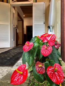 Pousada Pataca de prata - Pousada de Época