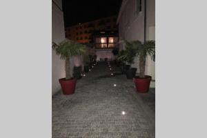 Appartements RARE PETIT COCON F1 Calme possibilite jacuzzi hammam en sus : photos des chambres