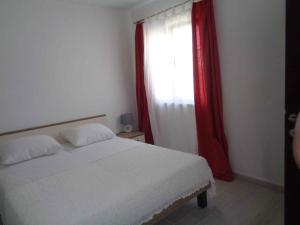 Apartments in Lopar - Insel Rab 40853