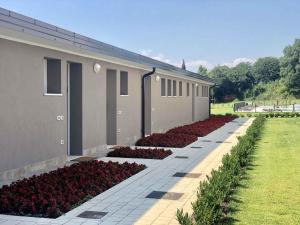 Agricamping Al grappolo diVino