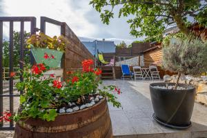 Apartments in Dramalj 41381