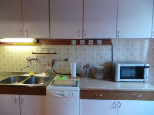 Apartment in Kastav 39570