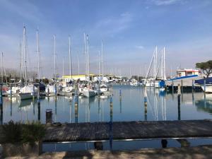 Apartment in Porto Santa Margherita 40285