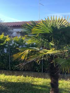 Holiday home Porto Santa Margherita 40288