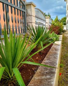 Apartment Rogoznica - Sibenik Riviera 36429