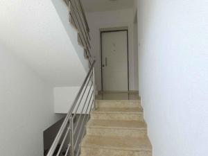 Apartment 1 room in Apartments in Valbandon/Istrien 8486