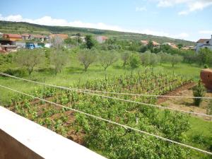 Apartment in Posedarje 37105