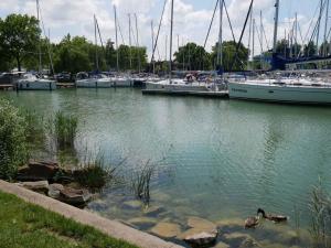 Apartment in Balatonlelle 36821