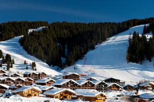 Villages vacances Lagrange Vacances Les Chalets du Mont Blanc : photos des chambres