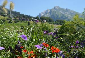 Hotels Chalet-Hotel du Borderan : photos des chambres