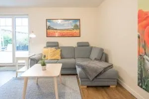 Austernfischer in Husum - Husum