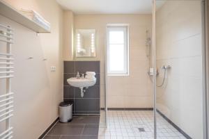 Austernfischer in Husum