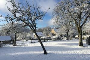 Maisons de vacances The Bakery : photos des chambres