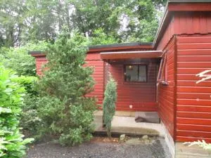 Chalet nr 21 op Bospark Trimunt - Siegerswoude