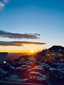 Studio Milmari ,Premier 18