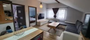 Comfort Home Studio - Dîlja Mică