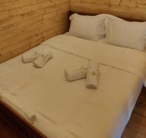 Camping Farm Shelegur