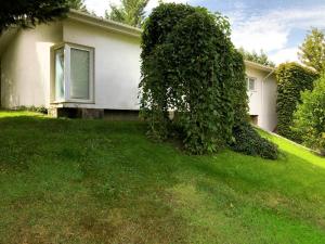 Casa do Galo Galo House