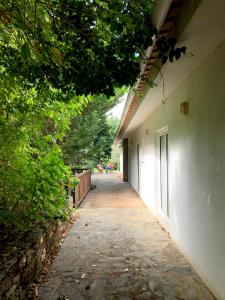 Casa do Galo Galo House