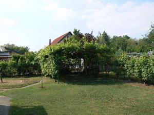 Holiday home in Balatonföldvar 36529