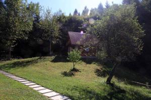 Holiday home in Golik - Gorski Kotar 14249