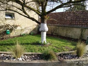 Appartements La Ruche : photos des chambres