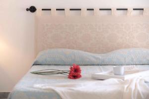 Studio room in Holiday Homes Palau/Insel Sardinien 27267