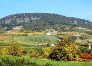 Holiday home in BadacsonyBalaton 18019