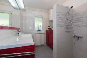 Apartments in Ravni - Istrien 30383