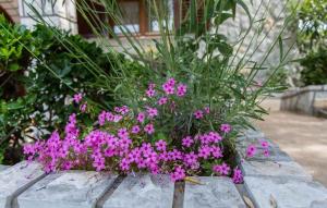 Apartment in Silo - Insel Krk 13517