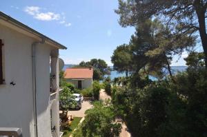 Apartment in Petrcane - Zadar Riviera 7907