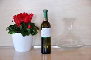 Apartment in Funtana - Istrien 35318