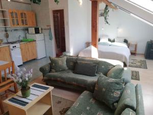 Apartment Zalakaros 8