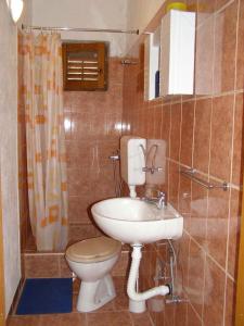 Holiday home in Cesarica 17117 