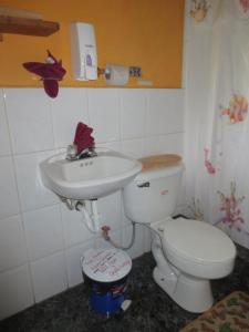 Cabañas Armonía y Jardín de Orquídeas