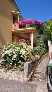 Apartments in Moscenicka Draga 34158