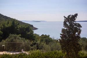 Apartment near Martinscica Catamaran Terminal in Mihojašcica