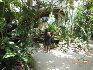 Cabañas Armonía y Jardín de Orquídeas